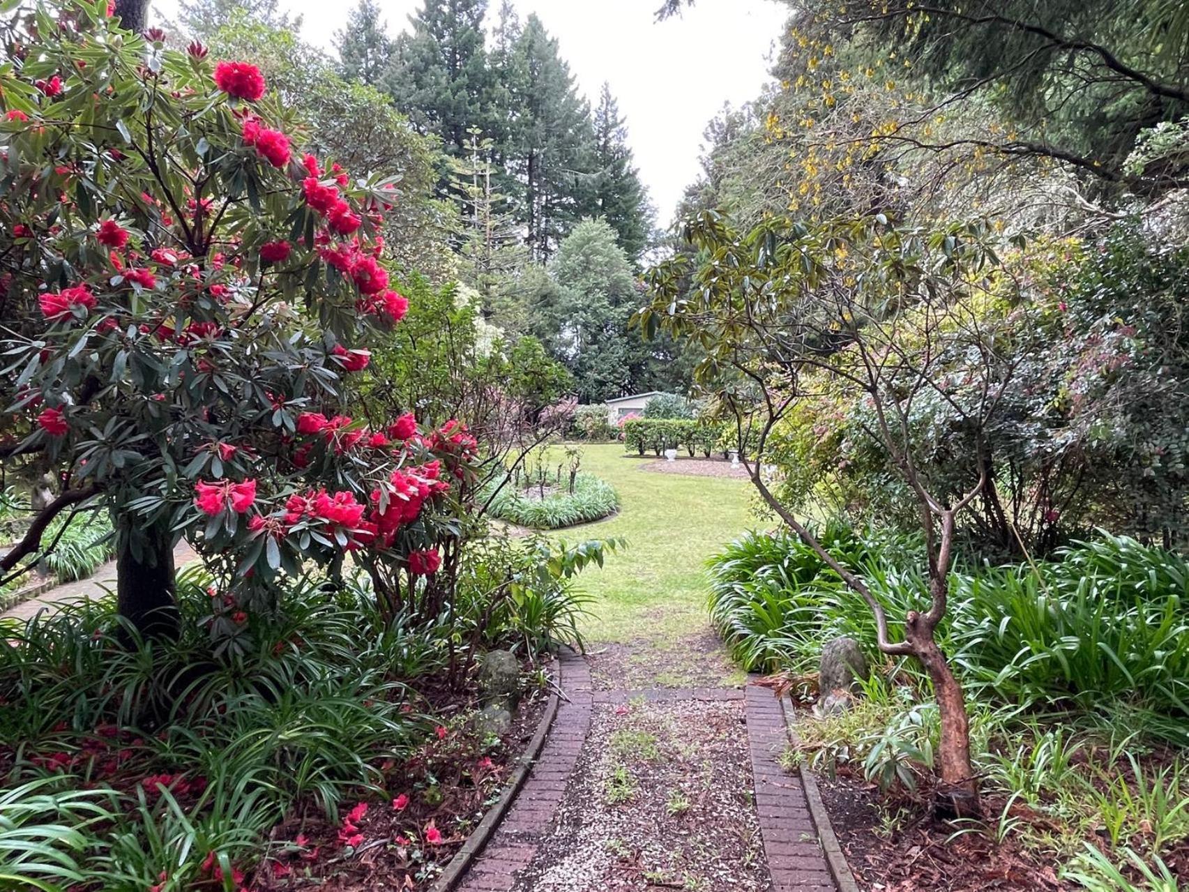 Garden Paradise In Rotorua With Pool Kültér fotó